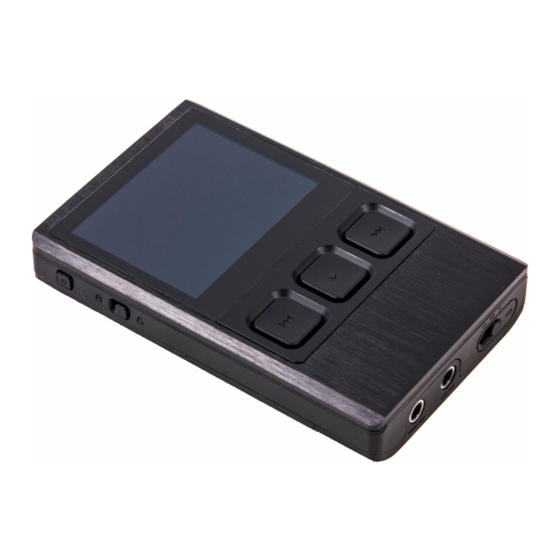 iBasso DX90 User Manual