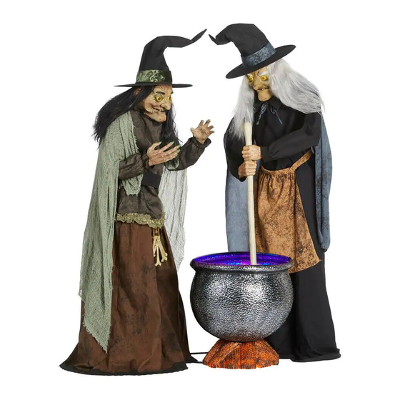 Home Accents Holiday Cauldron Witch Duo Easy Assembly And Operation Instructions