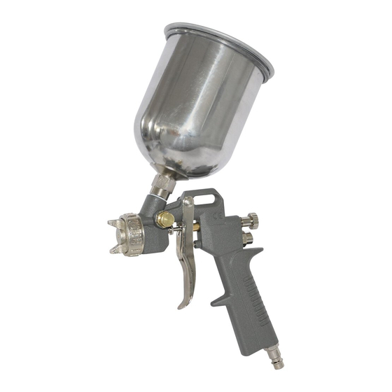 SW-Stahl 25000L Paint Spray Gun Manuals