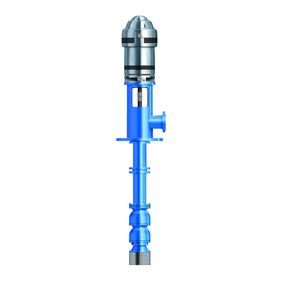 Goulds MODEL VIT Installation, Operation And Maintenance Instructions