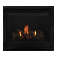 Astria Fireplaces AriesCD33TMP Manual