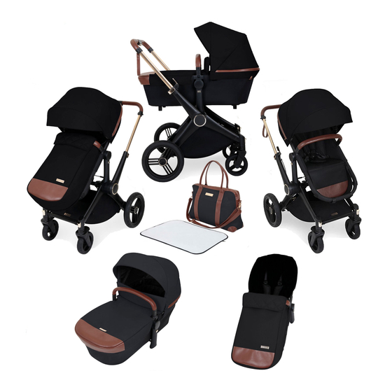 Ickle Bubba ASTON ROSE User Manual