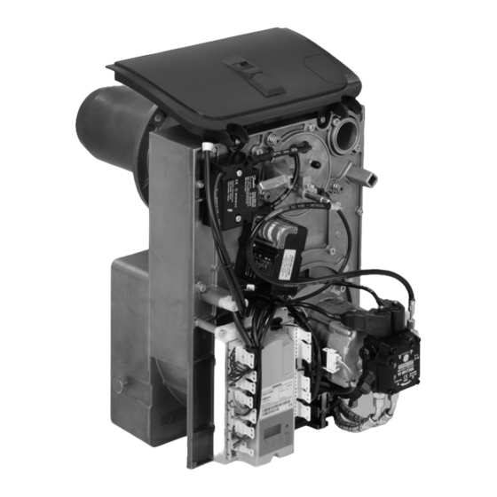 Viessmann Vitoflame 100 Service Instructions Manual
