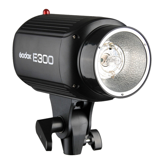 Godox E300 Instruction Manual