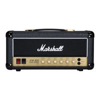 Marshall Amplification MG250DFX Product Catalogue