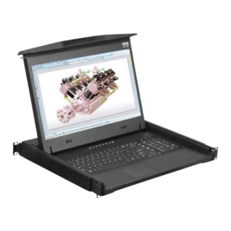Austin Hughes CyberView F1417 User Manual