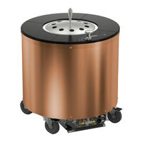 Wood Stone WS-GFT-31-CE Installation And Operation Manual