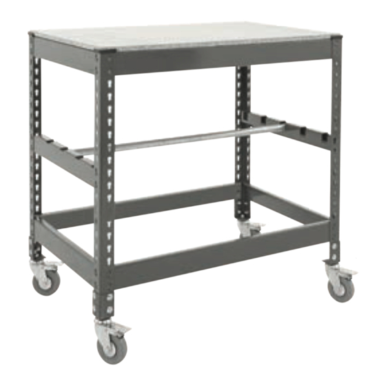 BiGDUG BiG800 Manual To Assembly & Usage
