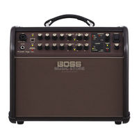 Boss Acoustic Singer Pro User Manual