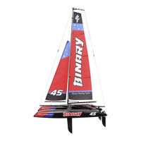 Amewi BINARY V2 Manual
