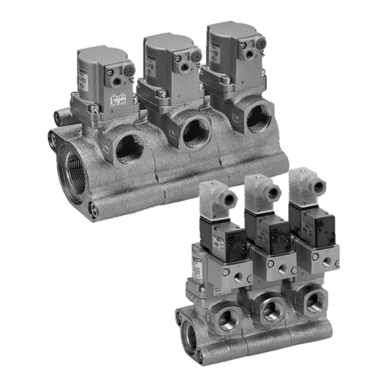 CKD GCVE2 Series Instruction Manual