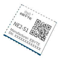 Ebyte NE2-S1-TB Manual