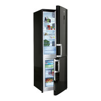 Beko CN 136240 P Manual