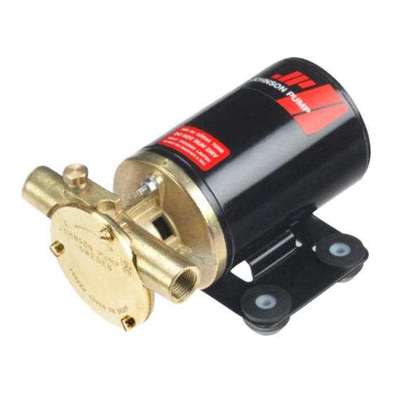 SPX Johnson Pump F2P10-19 1/2 slang 12 V Instruction Manual