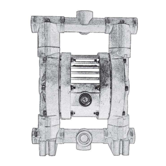 ALPHA DYNAMIC PUMPS Ruby Black Line 020 Non Metallic Manuals