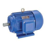 EBERTH WP1-EM2200 Operating Instructions Manual