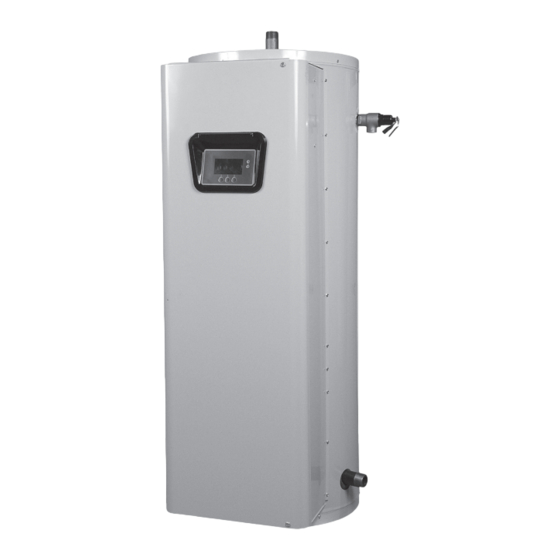 Lochinvar 100 Series Instruction Manual