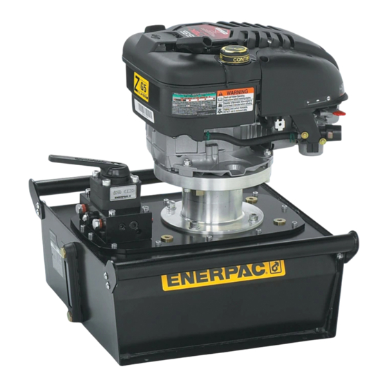 Enerpac ZG5420MX-R Instruction Sheet