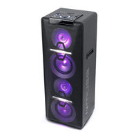 Muse M-1950 DJ User Manual