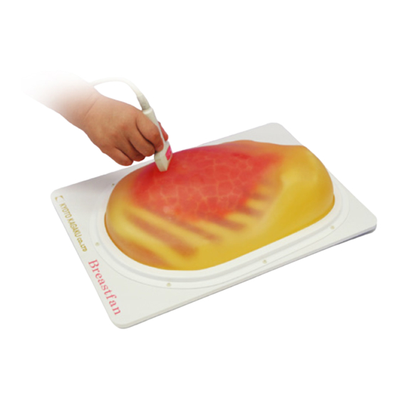 Kyoto Kagaku BREAST FAN Instruction Manual