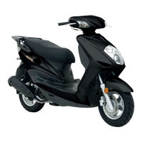 DAELIM DELFINO 125 Owner's Manual