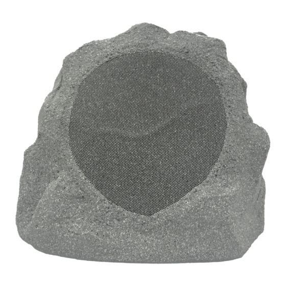 Adept Audio Rock Speaker Installation Manual