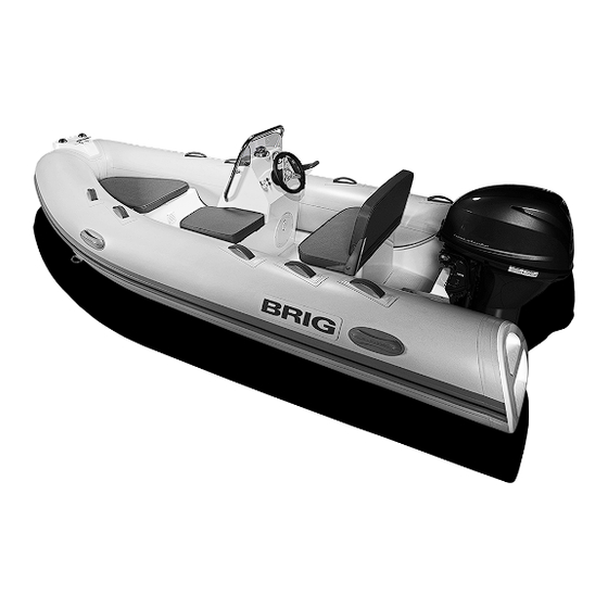 BRIG FALCON 2013 Owner's Manual