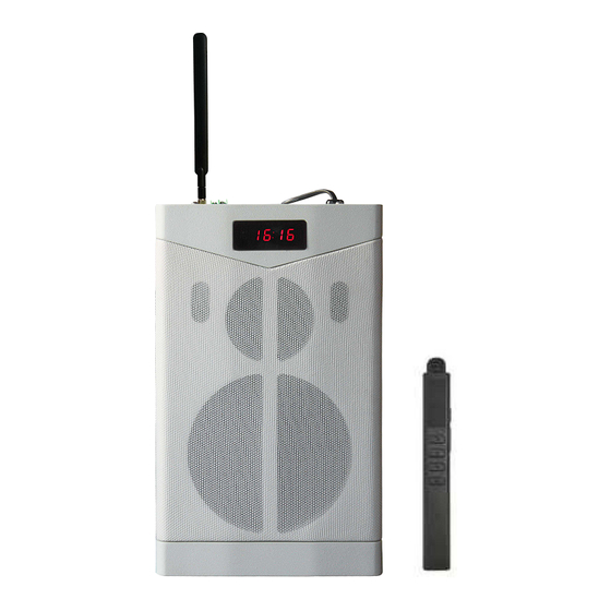 DSPPA MAG6363M Manual