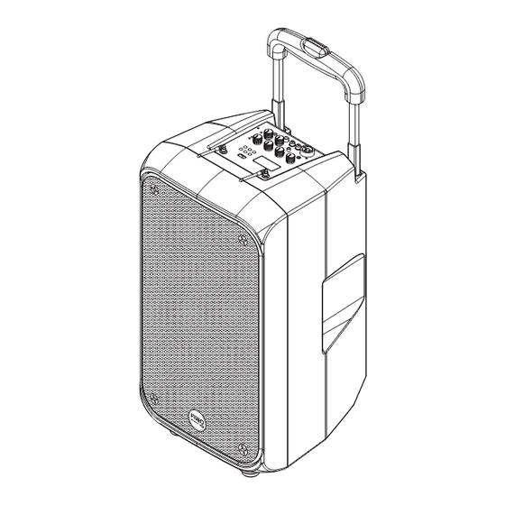 FiveO VIRGO 100 Owner's Manual