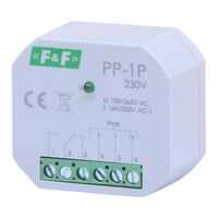 F&F PP-1P Quick Start Manual