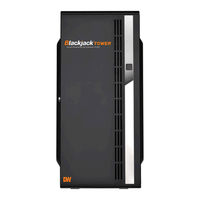 Digital Watchdog Blackjack Tower DW-BJTR715 T/LX/S Series Quick Start Manual