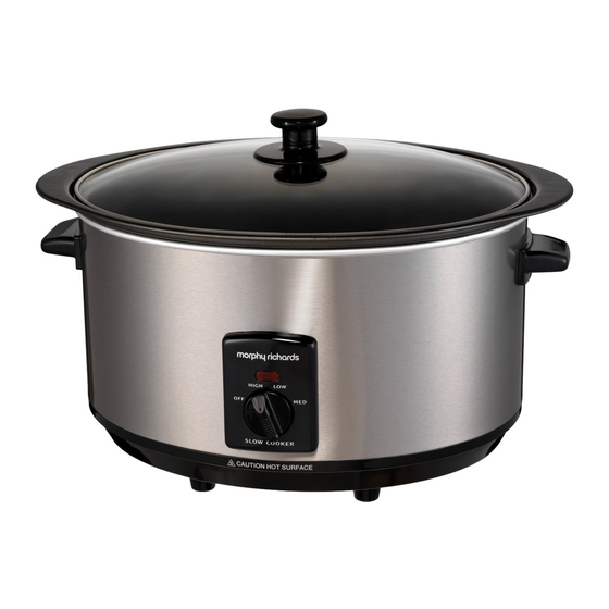 morphy richards partitioned slow cooker