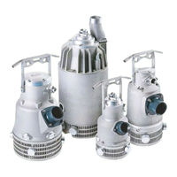 Pioneer Pump Minetuff DPC022H60 Owner's Manual