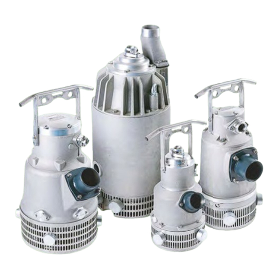 Pioneer Pump Minetuff DPC006H60 Owner's Manual