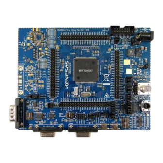 Renesas RH850 User Manual