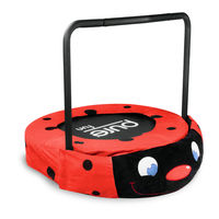 Pure Fun LADYBUG 9024LB Product Manual