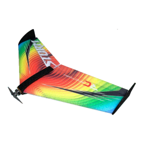 RC Factory Storm Manual