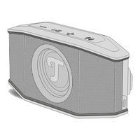 Teufel ROCKSTER GO 2 Technical Description And User Manual