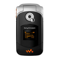 Sony Ericsson Walkman W300i User Manual