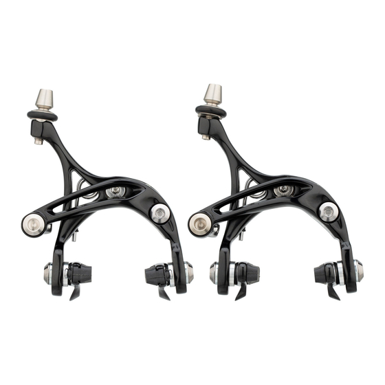 CAMPAGNOLO Brakes User Manual