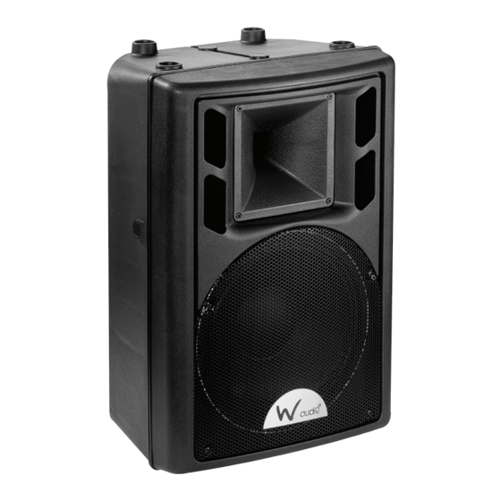 W Audio DSR 10A User Manual