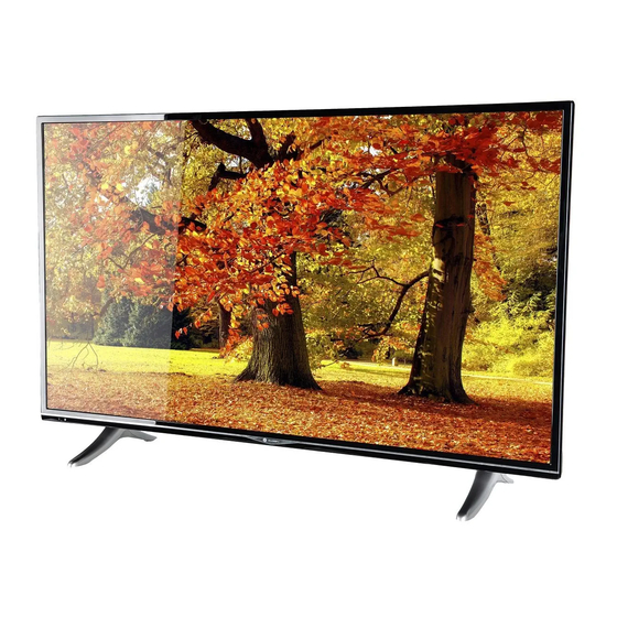 Gogen TVU49S298STWEB Instruction Manual
