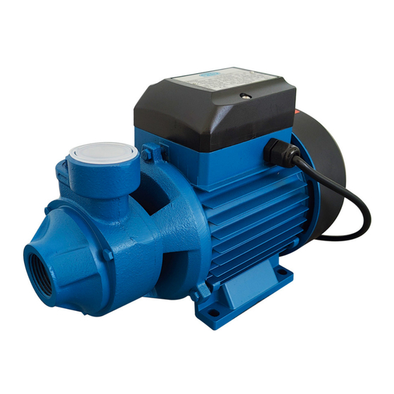 PYD Electrobombas BLOW PH Series Operating And Maintenance Manual