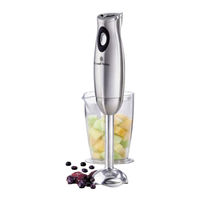 Russell Hobbs RHSB025 Instructions And Warranty