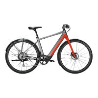 Derby Cycle Pedelec Groove Next User Manual