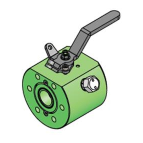RDI BV2IN Maintenance Manual