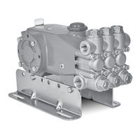 CAT Pumps 7CP6160CS Service Manual