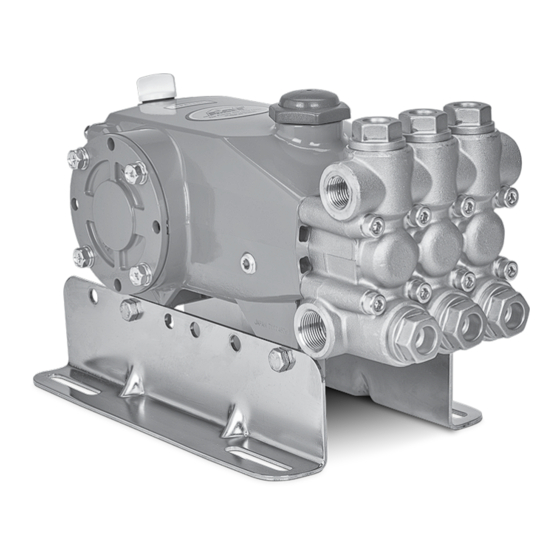 CAT Pumps 7CP6110CS Service Manual