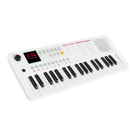 Kirstein Classic Cantabile MINI 37 User Manual