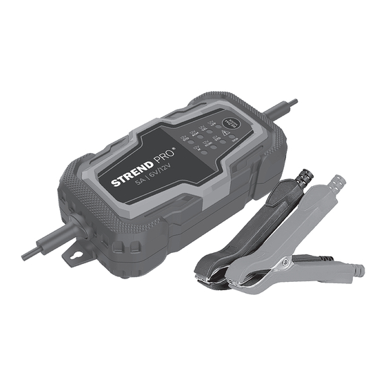 Strend Pro BD03-Z5.0A-D1 Instruction Manual